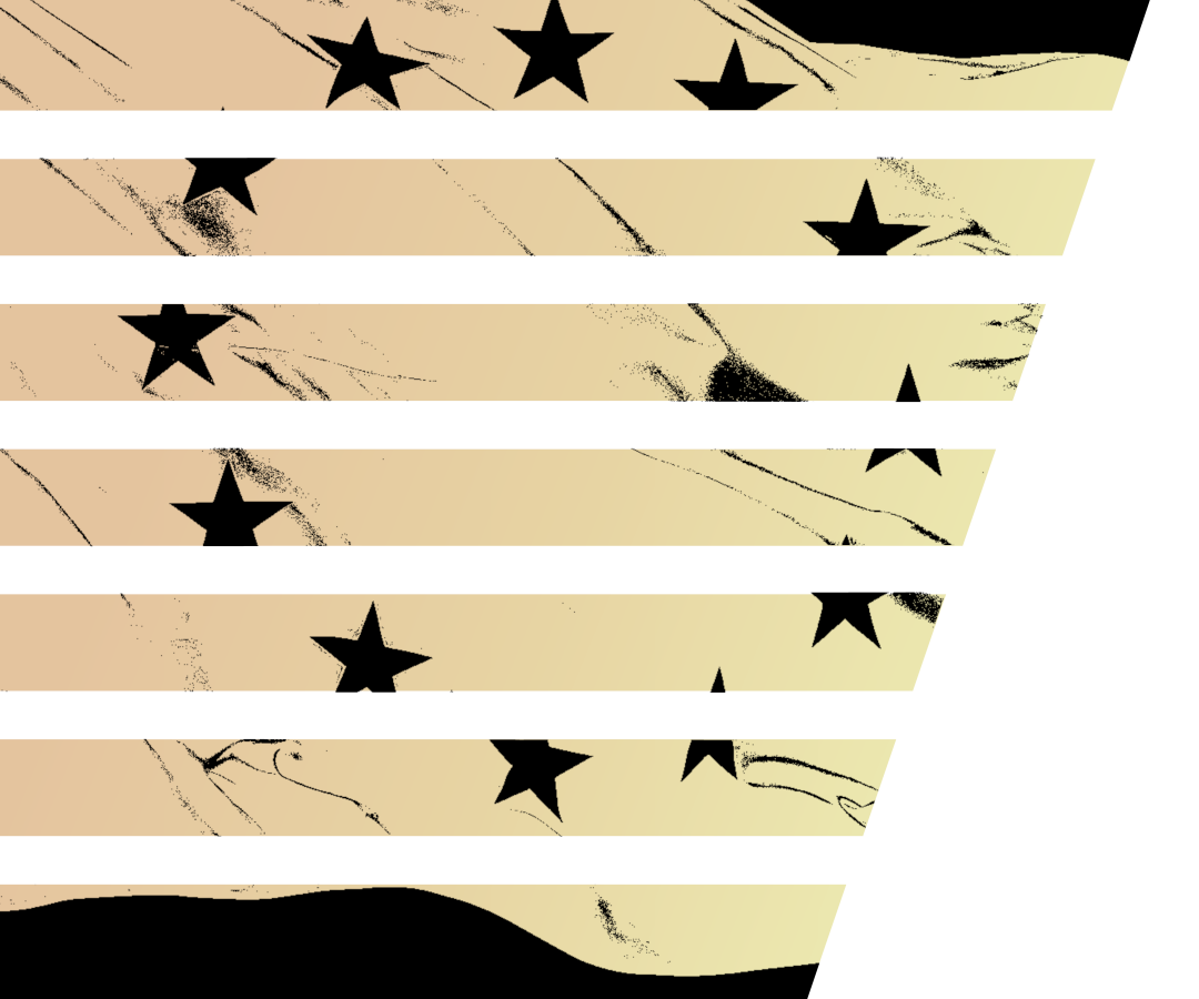 Neustadt in Europa – Europaflagge Composing